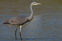 BUITEN BEELD Foto: 70254