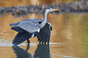 BUITEN BEELD Foto: 70262