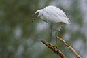 BUITEN BEELD Foto: 70309