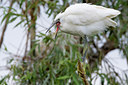 BUITEN BEELD Foto: 70327