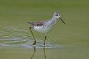 BUITEN BEELD Foto: 70364