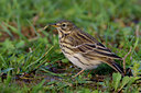 BUITEN BEELD Foto: 70372
