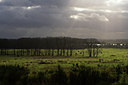 BUITEN BEELD Foto: 70404