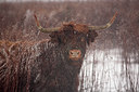 BUITEN BEELD Foto: 70415