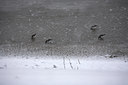 BUITEN BEELD Foto: 70419