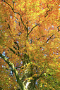 BUITEN BEELD Foto: 70509