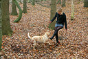 BUITEN BEELD Foto: 70532