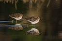 BUITEN BEELD Foto: 70595