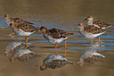 BUITEN BEELD Foto: 70597
