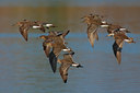 BUITEN BEELD Foto: 70598