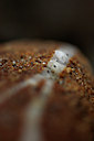 BUITEN BEELD Foto: 70731