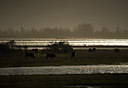 BUITEN BEELD Foto: 70745