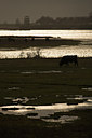 BUITEN BEELD Foto: 70746