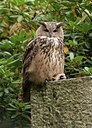 BUITEN BEELD Foto: 70812