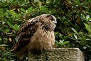 BUITEN BEELD Foto: 70814