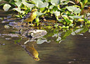 BUITEN BEELD Foto: 70828