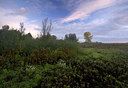 BUITEN BEELD Foto: 70856