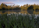 BUITEN BEELD Foto: 70857