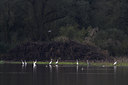 BUITEN BEELD Foto: 70865