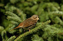 BUITEN BEELD Foto: 70900