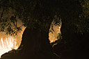 BUITEN BEELD Foto: 70932