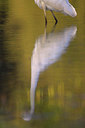 BUITEN BEELD Foto: 70949