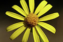 BUITEN BEELD Foto: 70959