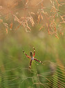 BUITEN BEELD Foto: 71077