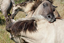 BUITEN BEELD Foto: 71101