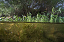BUITEN BEELD Foto: 71142