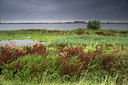 BUITEN BEELD Foto: 71161