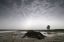BUITEN BEELD Foto: 71162
