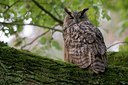 BUITEN BEELD Foto: 71166