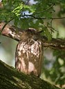 BUITEN BEELD Foto: 71172
