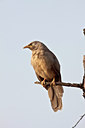 BUITEN BEELD Foto: 71194