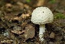 BUITEN BEELD Foto: 71219