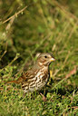 BUITEN BEELD Foto: 71294