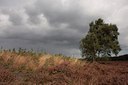 BUITEN BEELD Foto: 71379