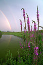 BUITEN BEELD Foto: 71511