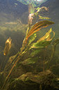 BUITEN BEELD Foto: 71520