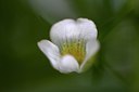 BUITEN BEELD Foto: 71582