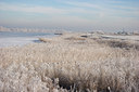 BUITEN BEELD Foto: 71661