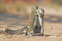 BUITEN BEELD Foto: 71794