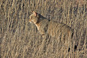 BUITEN BEELD Foto: 71803