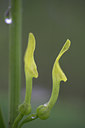 BUITEN BEELD Foto: 71870