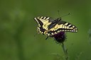 BUITEN BEELD Foto: 71878
