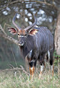 BUITEN BEELD Foto: 71924