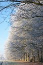 BUITEN BEELD Foto: 72012