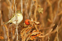 BUITEN BEELD Foto: 72040