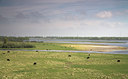 BUITEN BEELD Foto: 72045